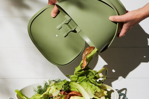Fry to Fly: How Hotels Are Turning Kitchen Waste into Jet Fuel Fry to Fly: How Hotels Are Turning Kitchen Waste into Jet Fuel